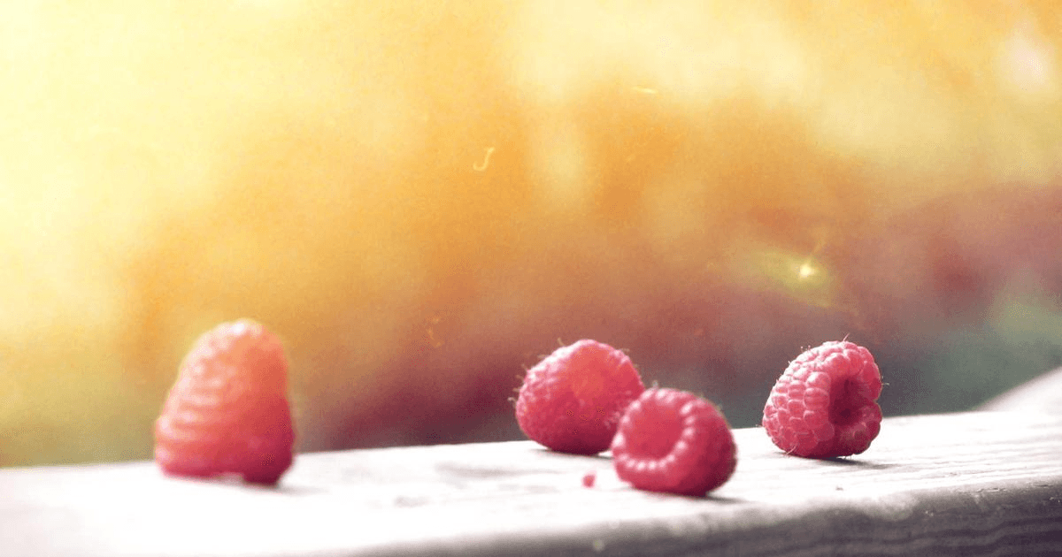 Get Ahead in Marketing: Task Automation and Content Generation with Shogo Actions thumbnail